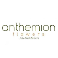 Anthemion Flowers